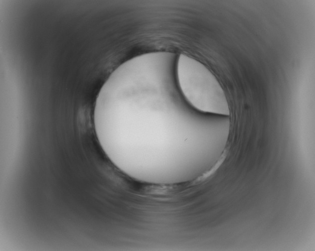 X0000114430182200910161039