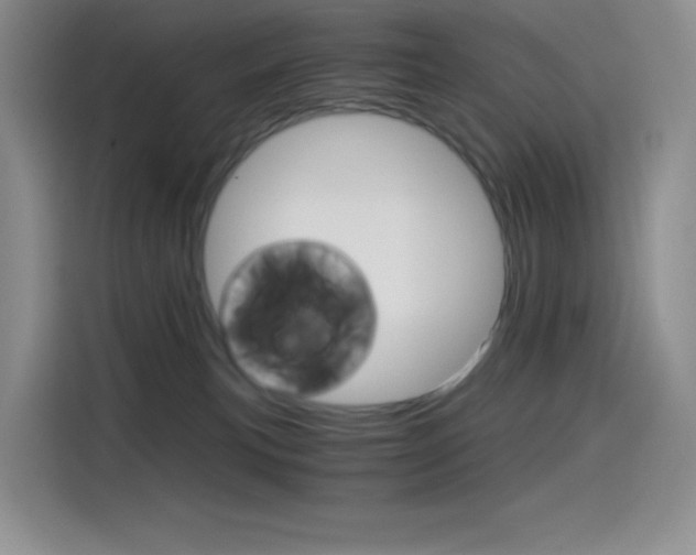 X0000114430183200910161039