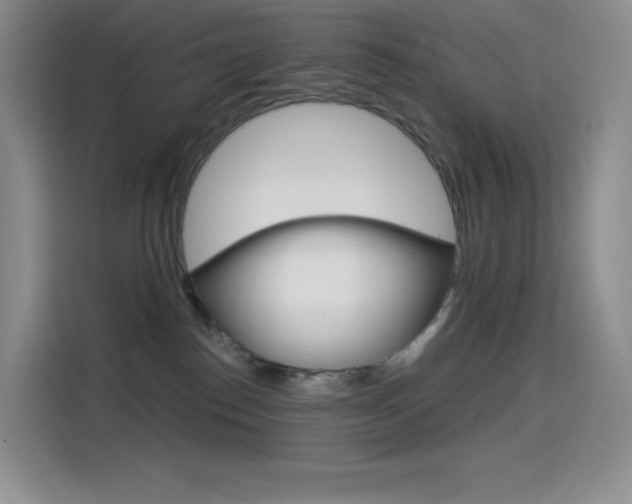 X0000114430186200910161039