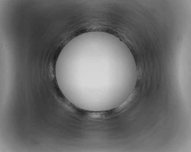 X0000114430187200910161039
