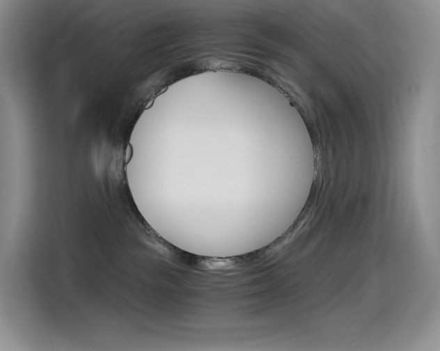 X0000114430189200910161039