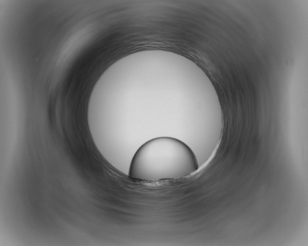 X0000114430190200910161039