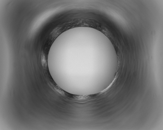 X0000114430191200910161039