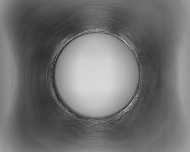 X0000114430193200910161039