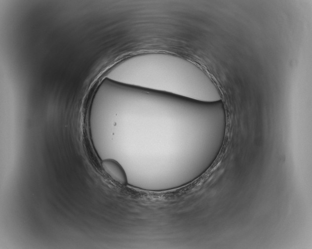 X0000114430194200910161039