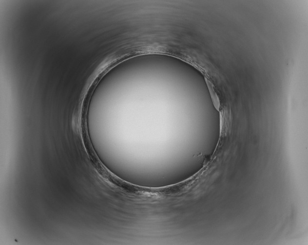 X0000114430195200910161039