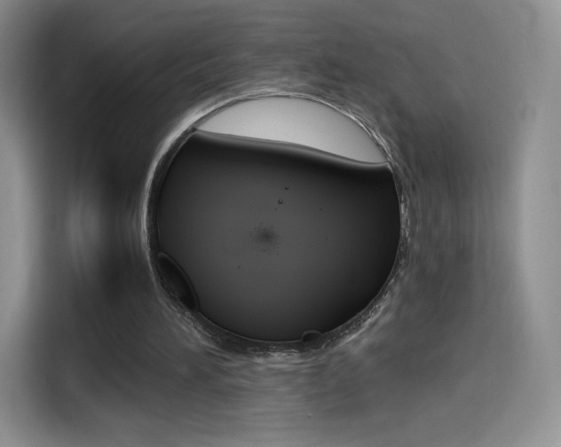 X0000114430196200910161039