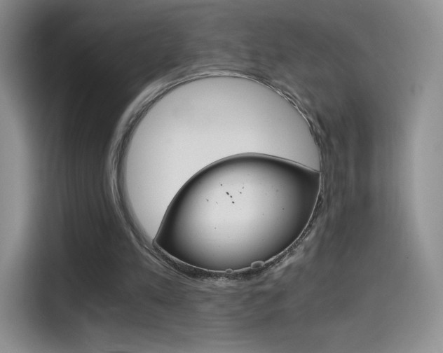 X0000114430197200910161039