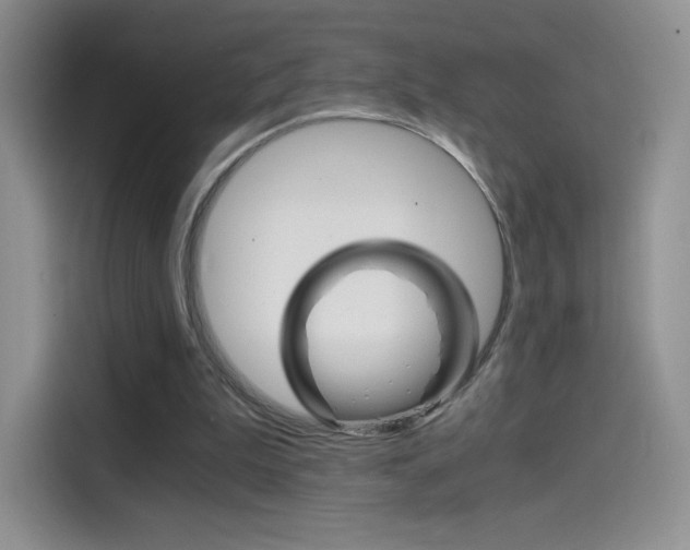 X0000114430199200910161039