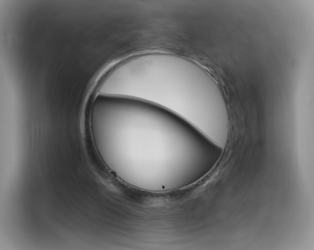 X0000114430200200910161039