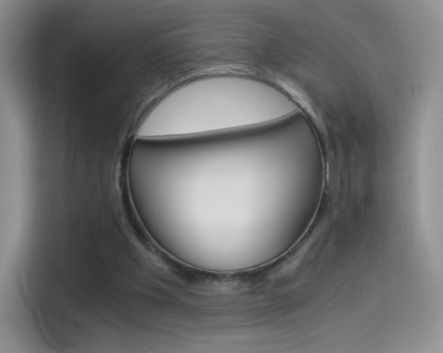 X0000114430201200910161039