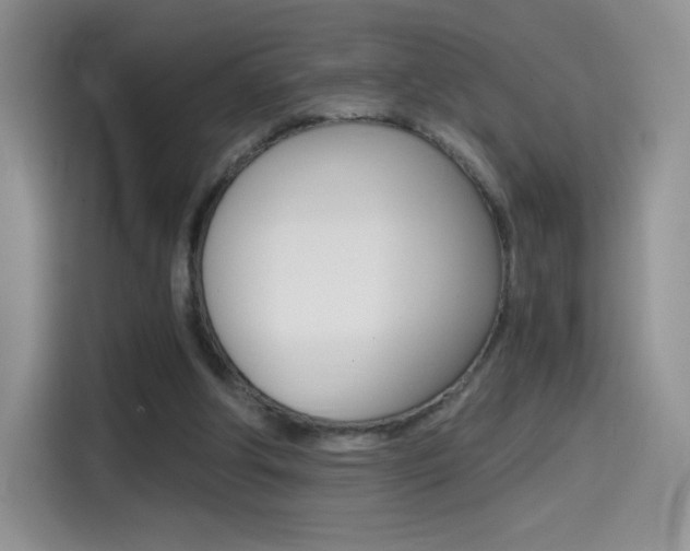 X0000114430202200910161039