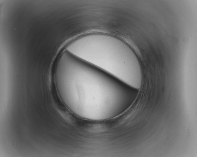 X0000114430204200910161039