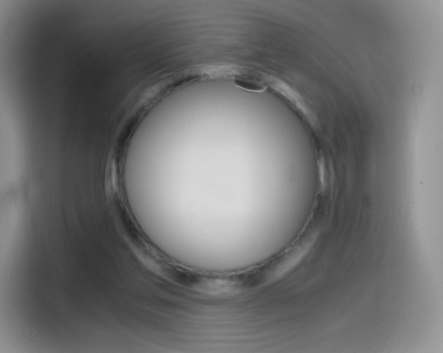 X0000114430205200910161039