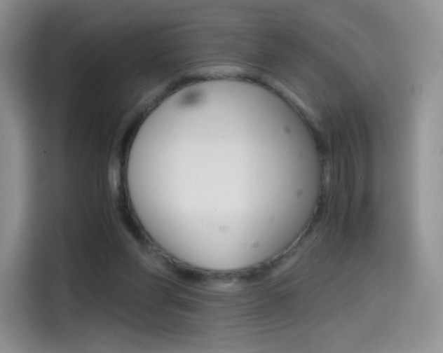 X0000114430206200910161039