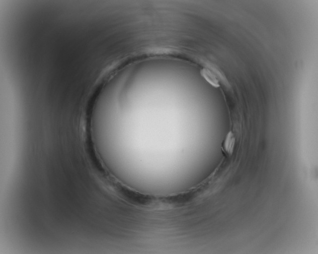 X0000114430207200910161038