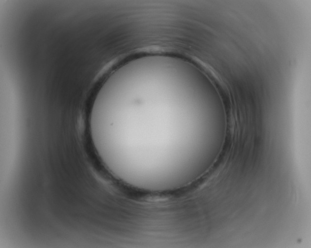 X0000114430208200910161038