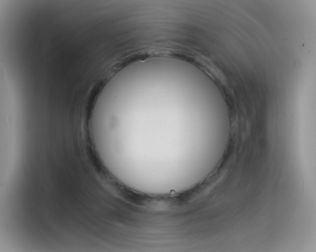 X0000114430209200910161038