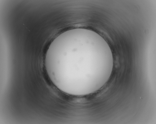 X0000114430210200910161038