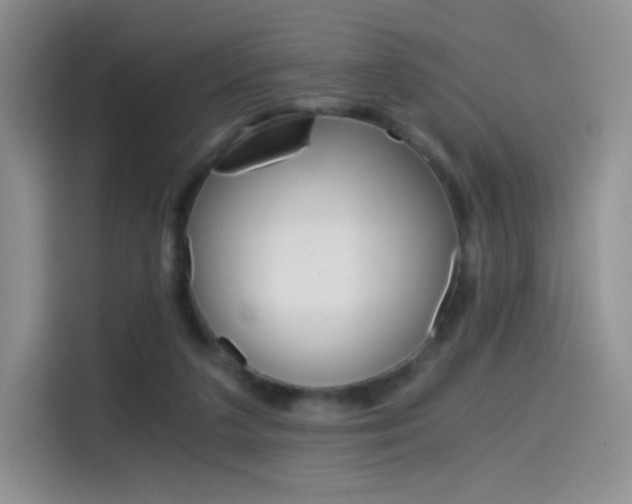 X0000114430211200910161038