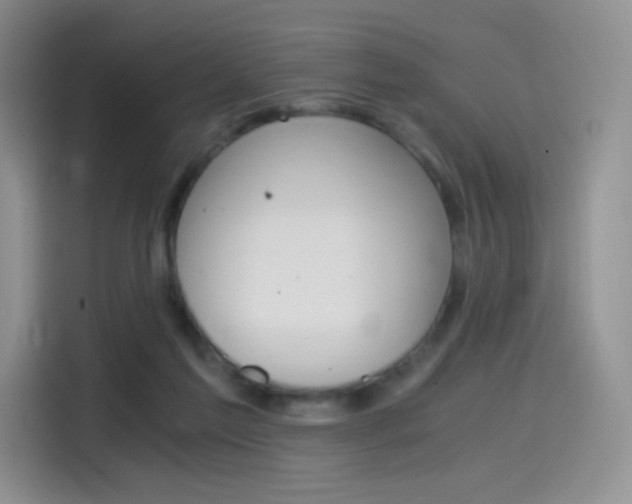 X0000114430213200910161038