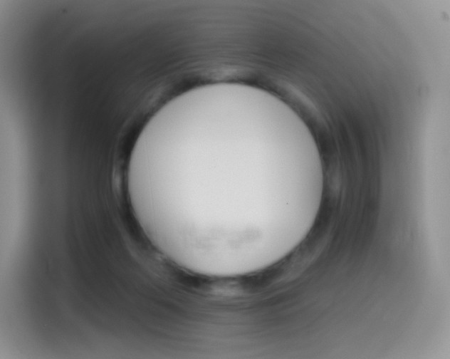 X0000114430214200910161038