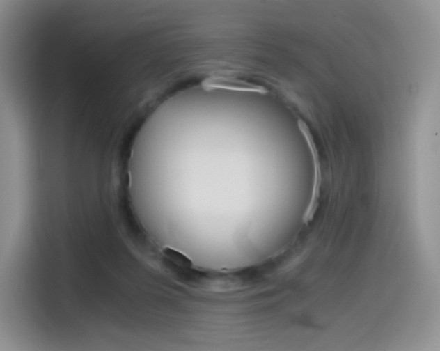 X0000114430215200910161038