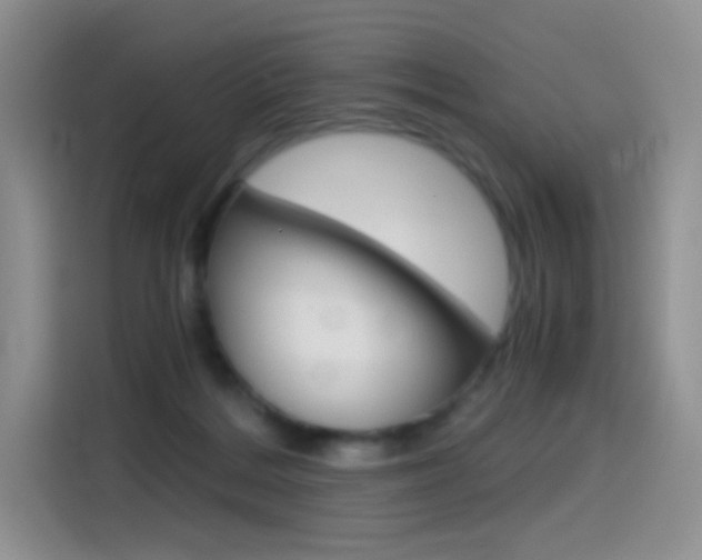 X0000114430220200910161038