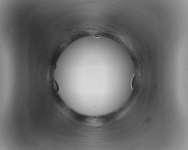 X0000114430221200910161038
