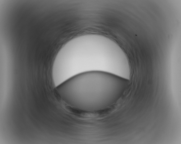 X0000114430223200910161038