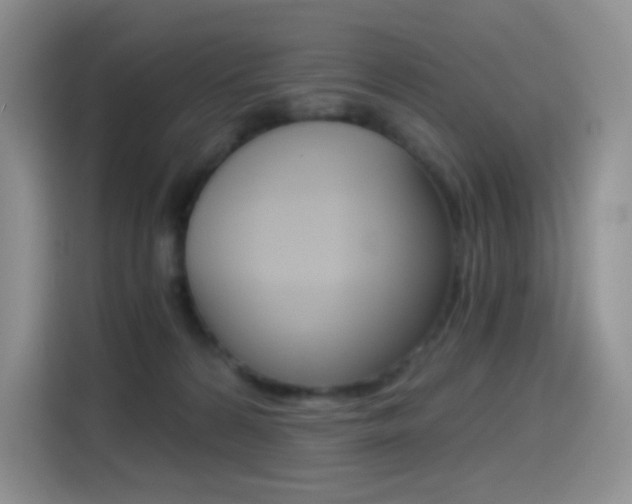 X0000114430224200910161038