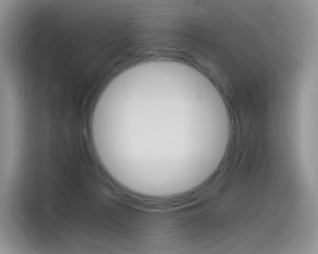 X0000114430225200910161038