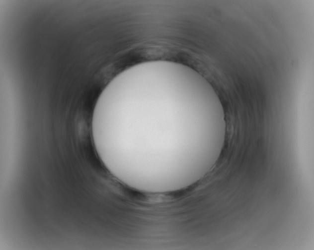 X0000114430226200910161038