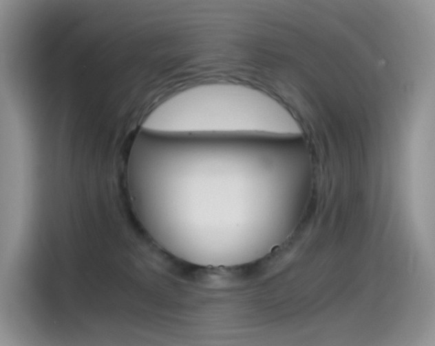 X0000114430229200910161038