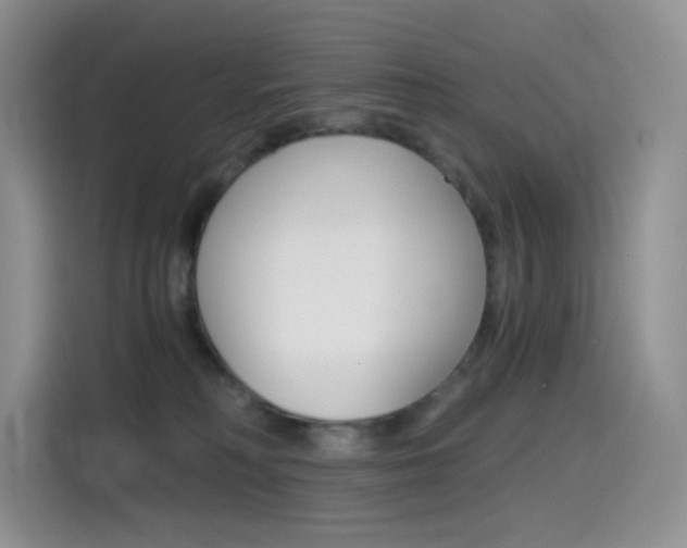 X0000114430230200910161038