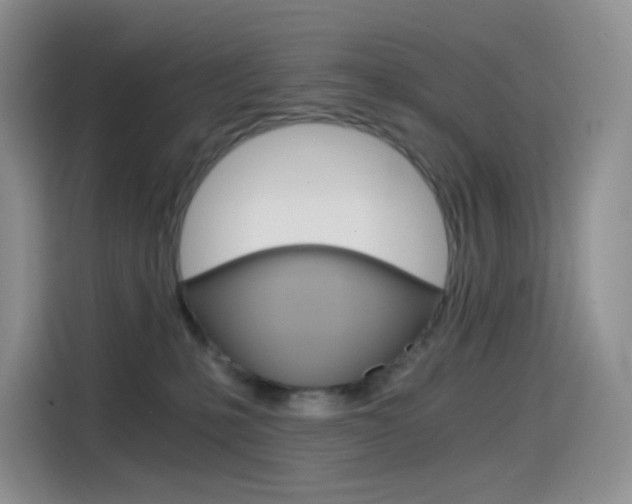 X0000114430231200910161038