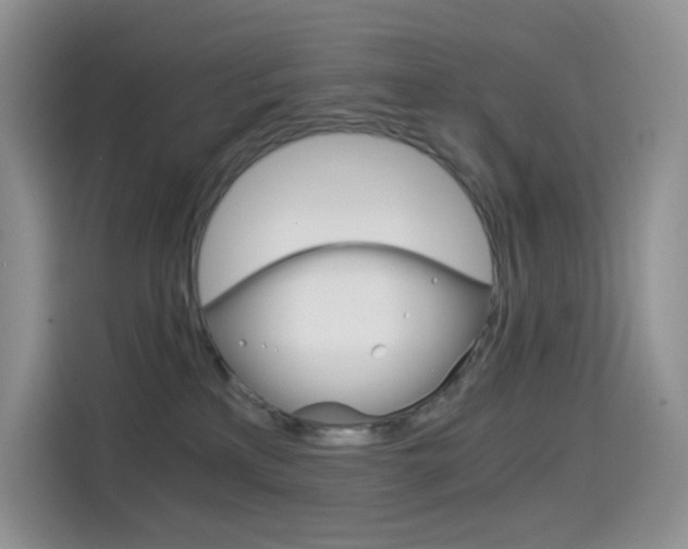 X0000114430233200910161038