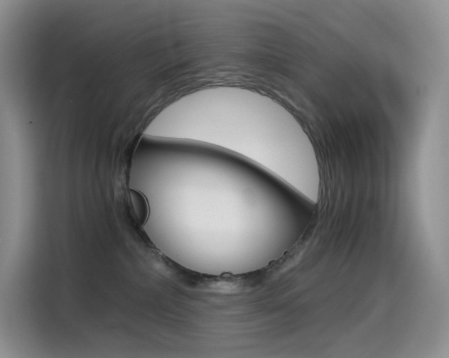 X0000114430236200910161038