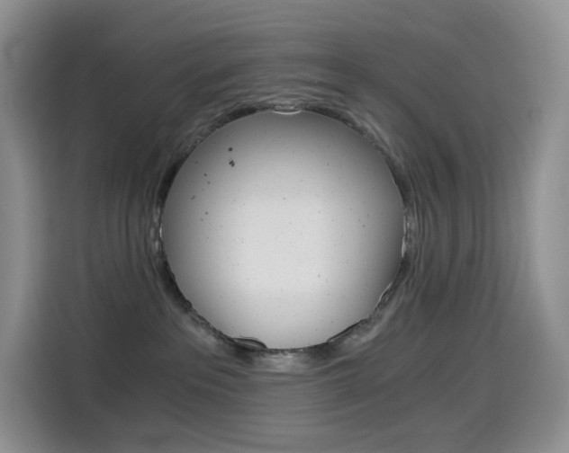X0000114430237200910161038
