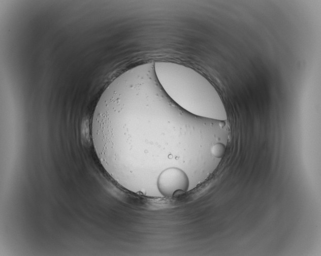 X0000114430238200910161038