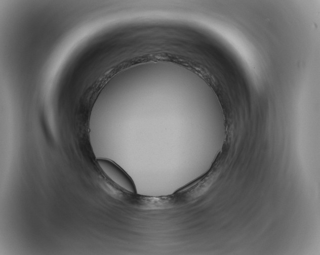 X0000114430239200910161038