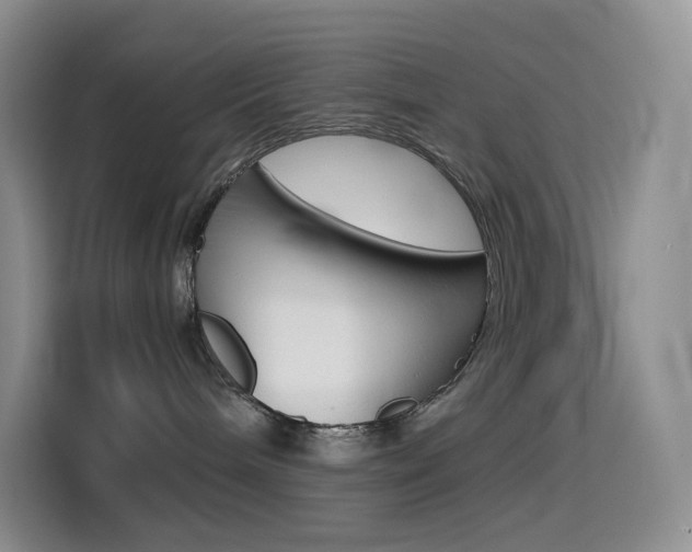 X0000114430240200910161038