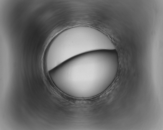 X0000114430242200910161037