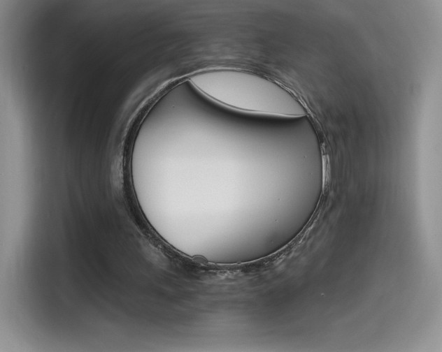 X0000114430243200910161037