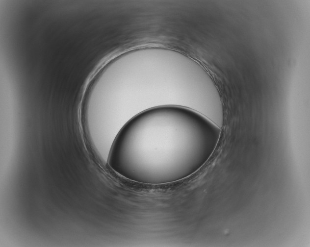 X0000114430244200910161037