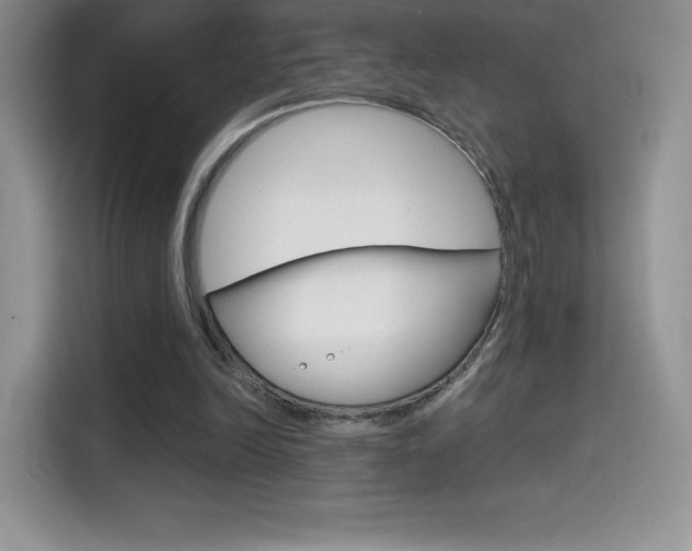 X0000114430246200910161038