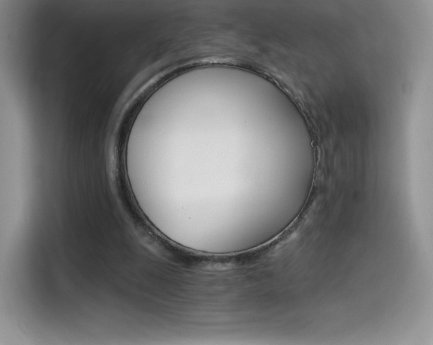 X0000114430247200910161038