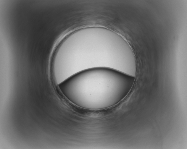 X0000114430248200910161038