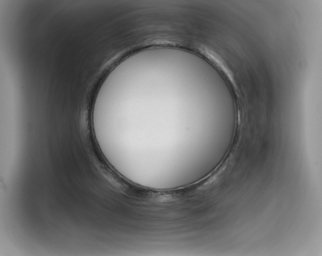 X0000114430249200910161038