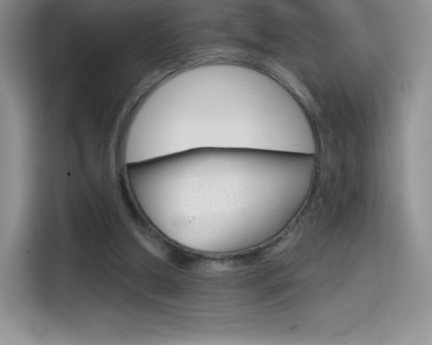 X0000114430250200910161038